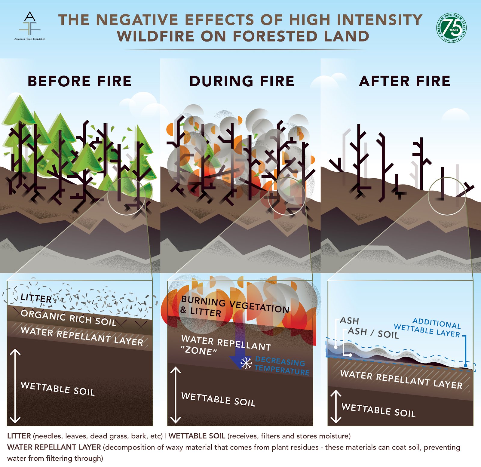 Wildfires, Water, and Our Health Climate Atlas of Canada